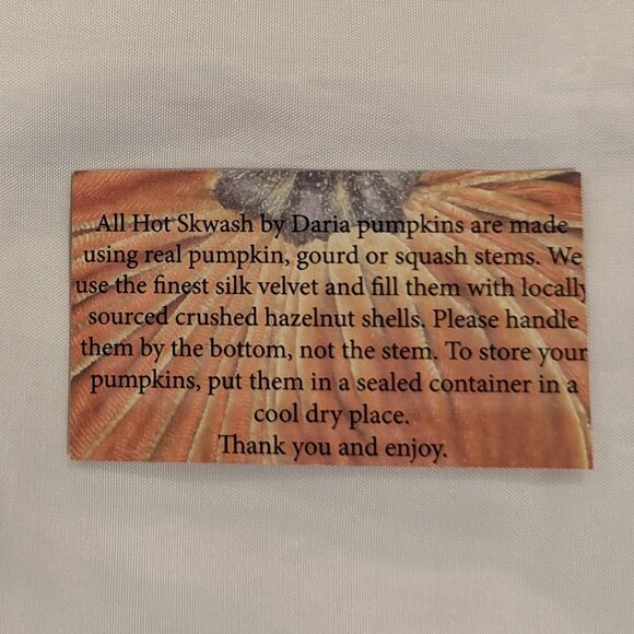 NWT Hot Skwash Silk Velvet Pumpkins (SET of 2, Handmade with Natural Stems) - Picture 3 of 13